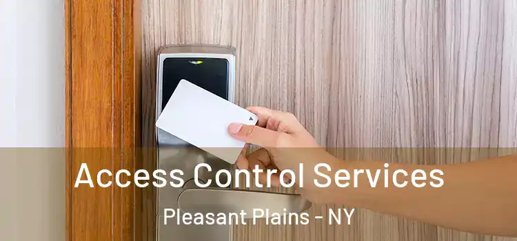 Access Control Services Pleasant Plains - NY