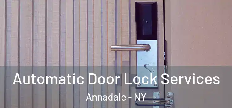 Automatic Door Lock Services Annadale - NY