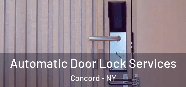 Automatic Door Lock Services Concord - NY
