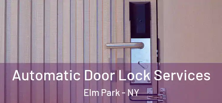 Automatic Door Lock Services Elm Park - NY