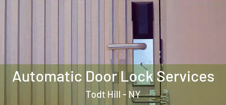 Automatic Door Lock Services Todt Hill - NY