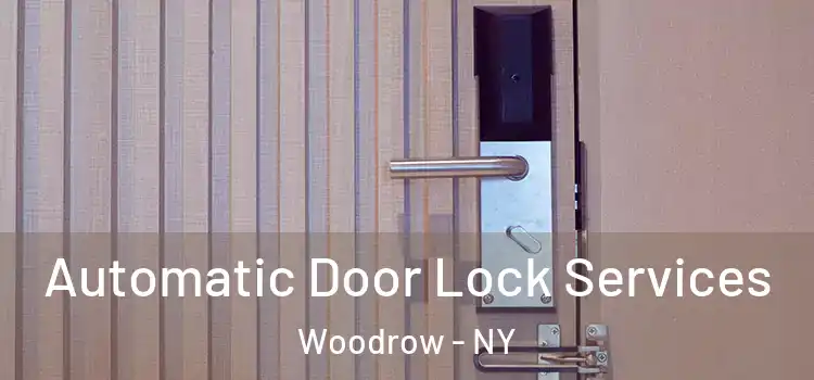 Automatic Door Lock Services Woodrow - NY