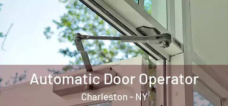  Automatic Door Operator Charleston - NY