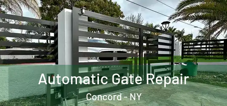  Automatic Gate Repair Concord - NY