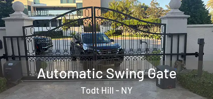 Automatic Swing Gate Todt Hill - NY
