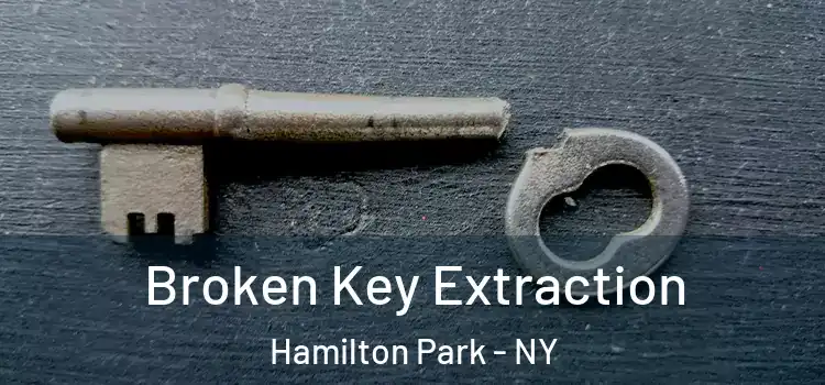 Broken Key Extraction Hamilton Park - NY