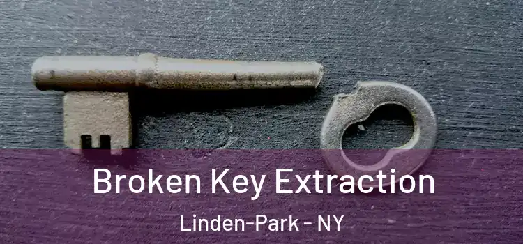 Broken Key Extraction Linden-Park - NY