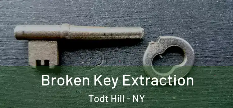  Broken Key Extraction Todt Hill - NY