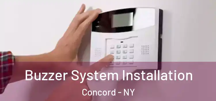 Buzzer System Installation Concord - NY