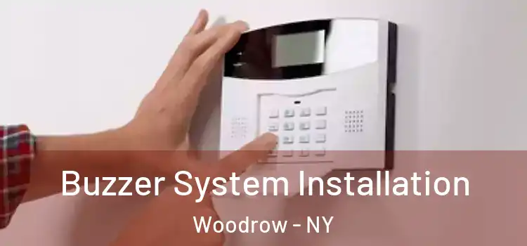 Buzzer System Installation Woodrow - NY