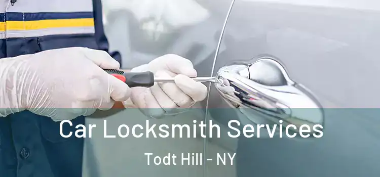 Car Locksmith Services Todt Hill - NY