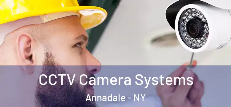 CCTV Camera Systems Annadale - NY