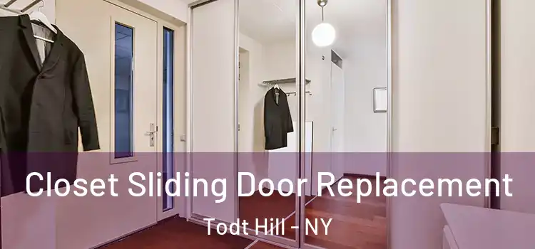 Closet Sliding Door Replacement Todt Hill - NY