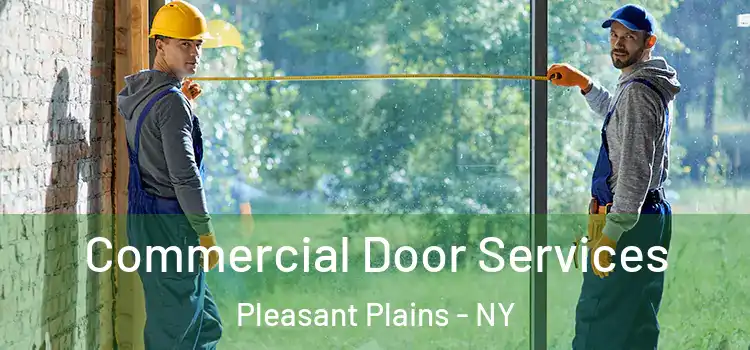 Commercial Door Services Pleasant Plains - NY