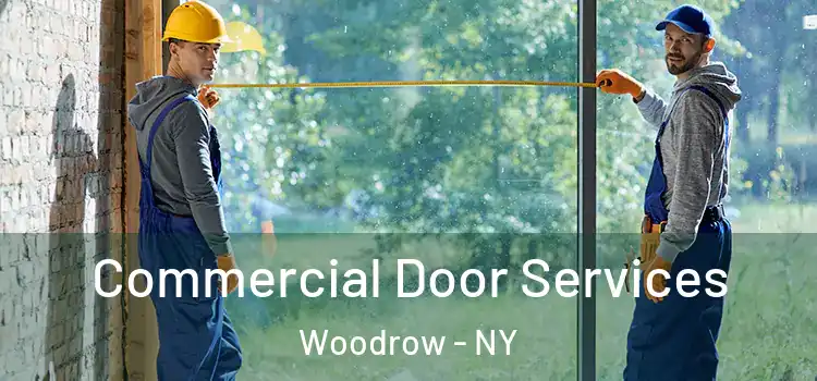 Commercial Door Services Woodrow - NY