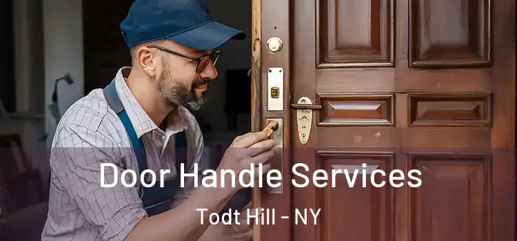 Door Handle Services Todt Hill - NY