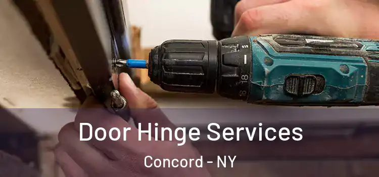 Door Hinge Services Concord - NY