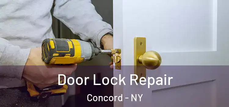  Door Lock Repair Concord - NY