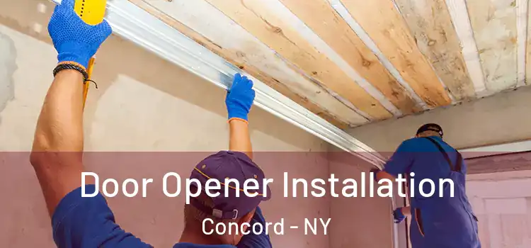  Door Opener Installation Concord - NY