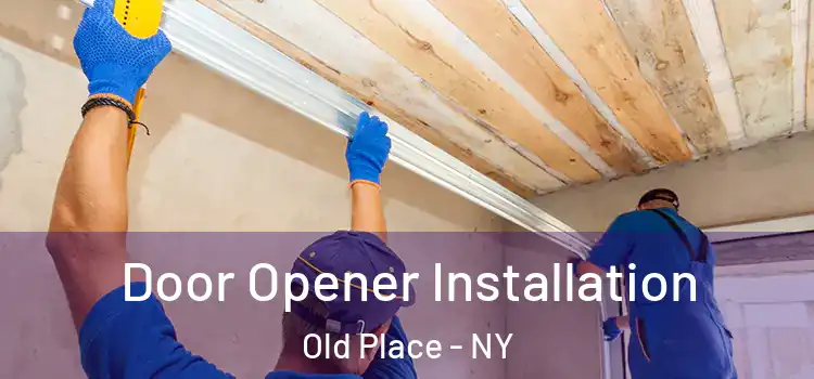 Door Opener Installation Old Place - NY