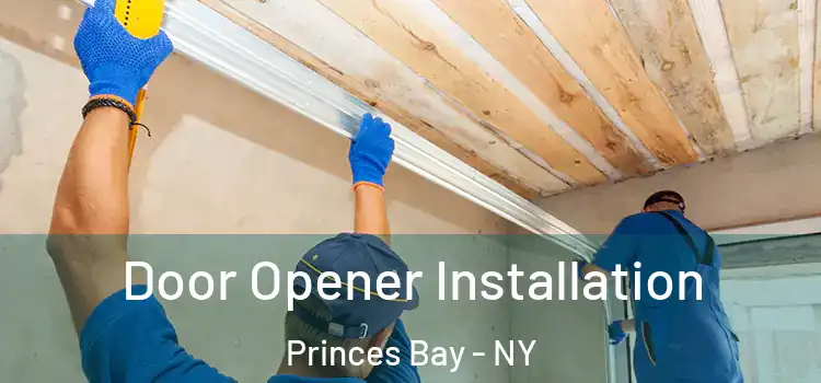  Door Opener Installation Princes Bay - NY