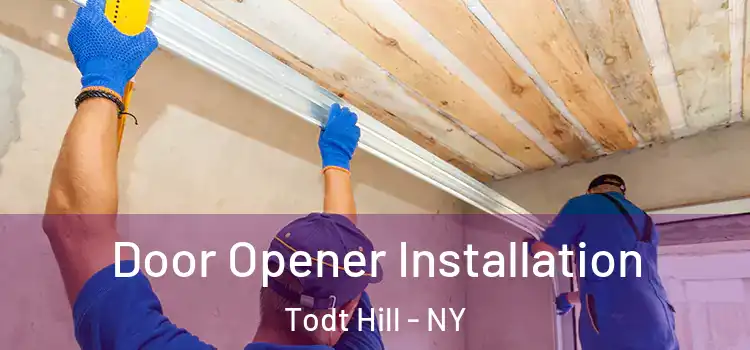 Door Opener Installation Todt Hill - NY