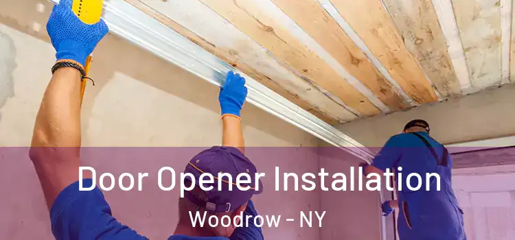 Door Opener Installation Woodrow - NY