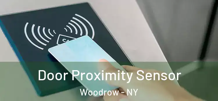 Door Proximity Sensor Woodrow - NY