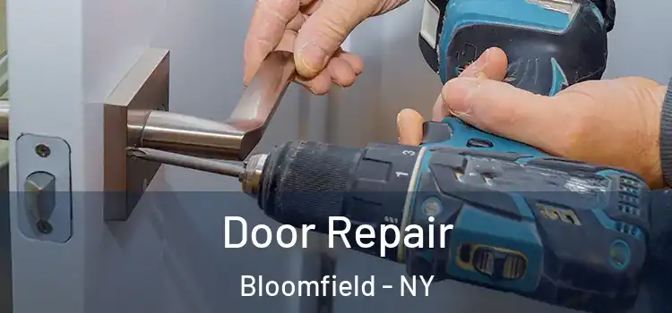  Door Repair Bloomfield - NY