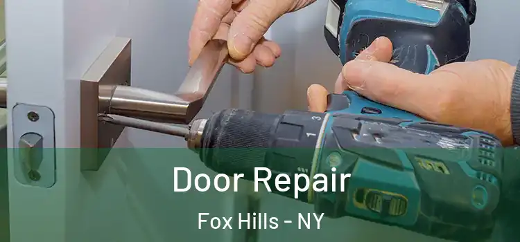 Door Repair Fox Hills - NY