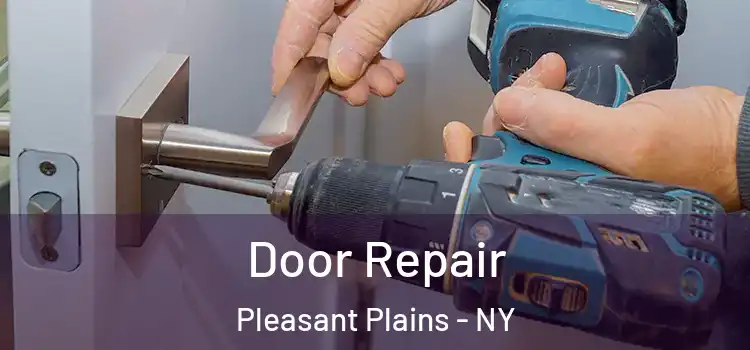 Door Repair Pleasant Plains - NY