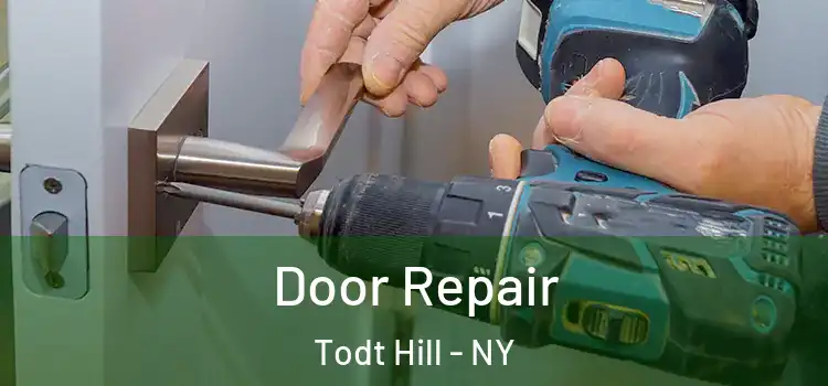 Door Repair Todt Hill - NY