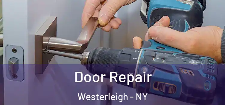  Door Repair Westerleigh - NY