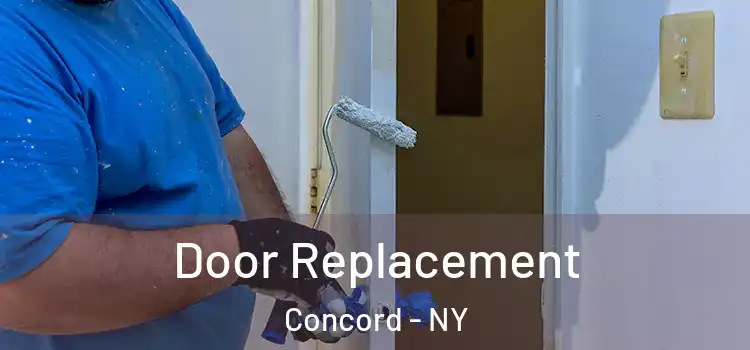 Door Replacement Concord - NY