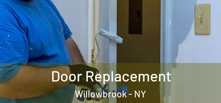 Door Replacement Willowbrook - NY