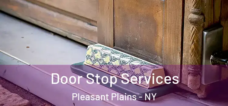 Door Stop Services Pleasant Plains - NY