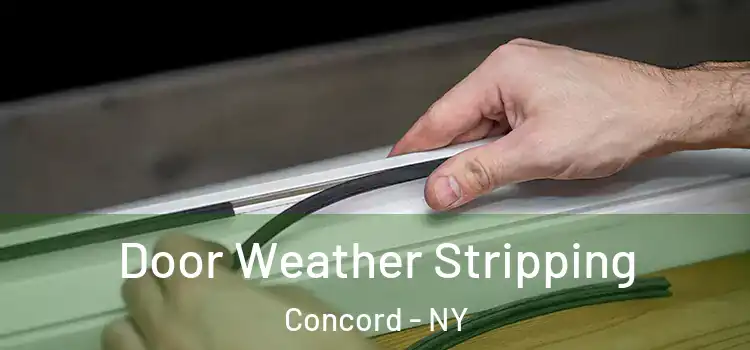  Door Weather Stripping Concord - NY