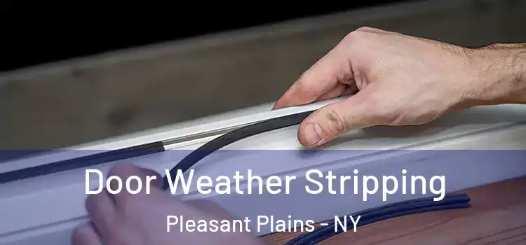 Door Weather Stripping Pleasant Plains - NY