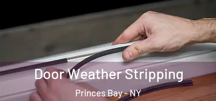 Door Weather Stripping Princes Bay - NY