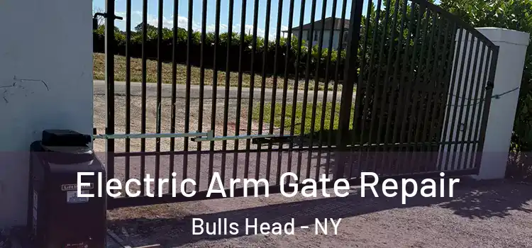Electric Arm Gate Repair Bulls Head - NY