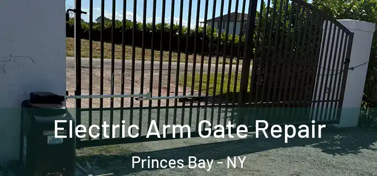 Electric Arm Gate Repair Princes Bay - NY