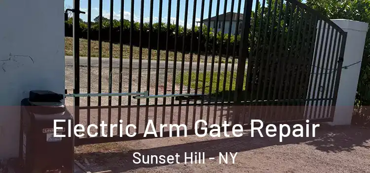 Electric Arm Gate Repair Sunset Hill - NY
