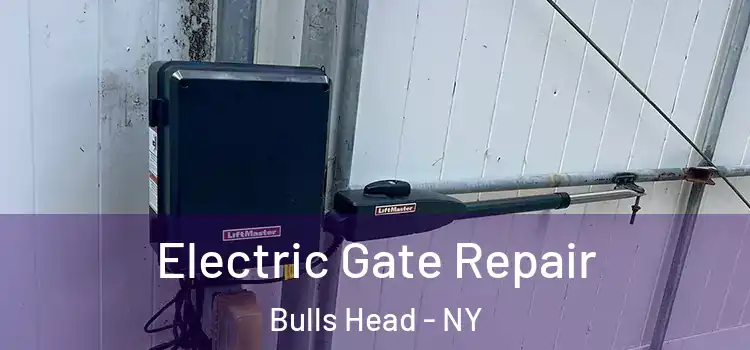 Electric Gate Repair Bulls Head - NY