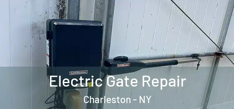 Electric Gate Repair Charleston - NY
