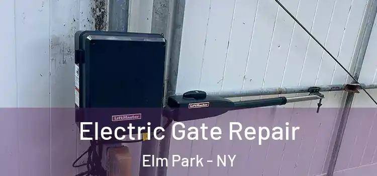 Electric Gate Repair Elm Park - NY