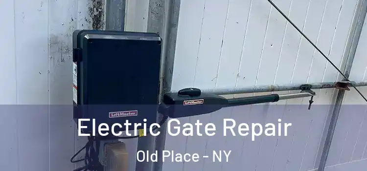 Electric Gate Repair Old Place - NY