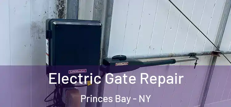Electric Gate Repair Princes Bay - NY