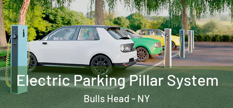 Electric Parking Pillar System Bulls Head - NY