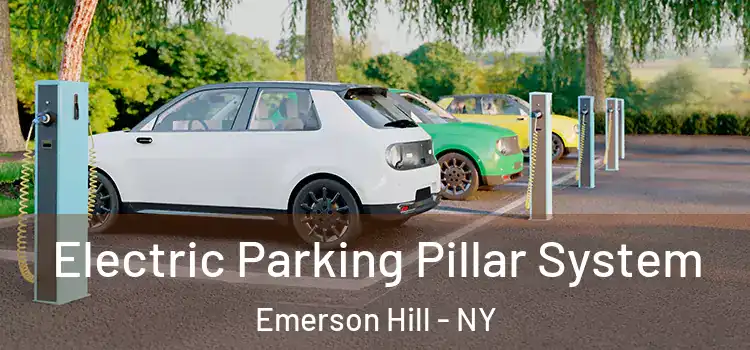 Electric Parking Pillar System Emerson Hill - NY