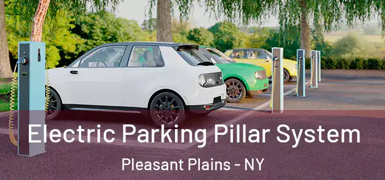 Electric Parking Pillar System Pleasant Plains - NY
